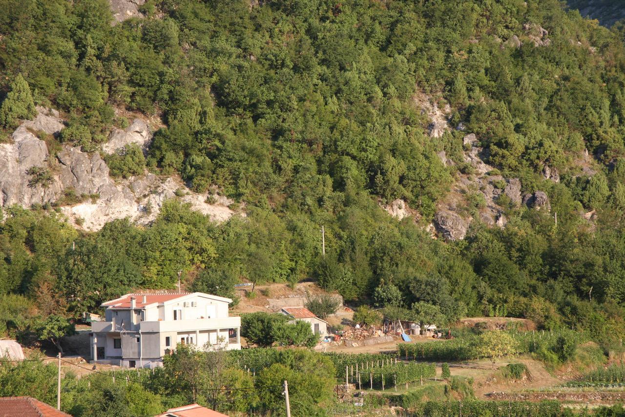 Vrzina Farm House Skadar Lake ヴィルパザル エクステリア 写真
