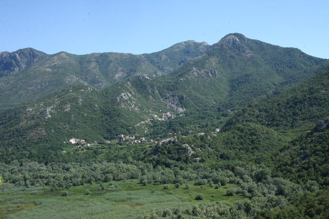 Vrzina Farm House Skadar Lake ヴィルパザル エクステリア 写真