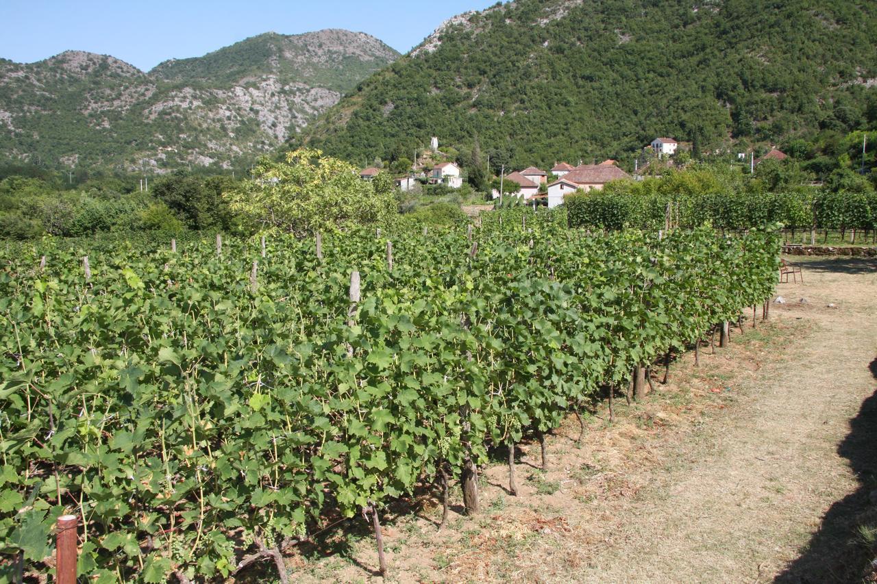 Vrzina Farm House Skadar Lake ヴィルパザル エクステリア 写真
