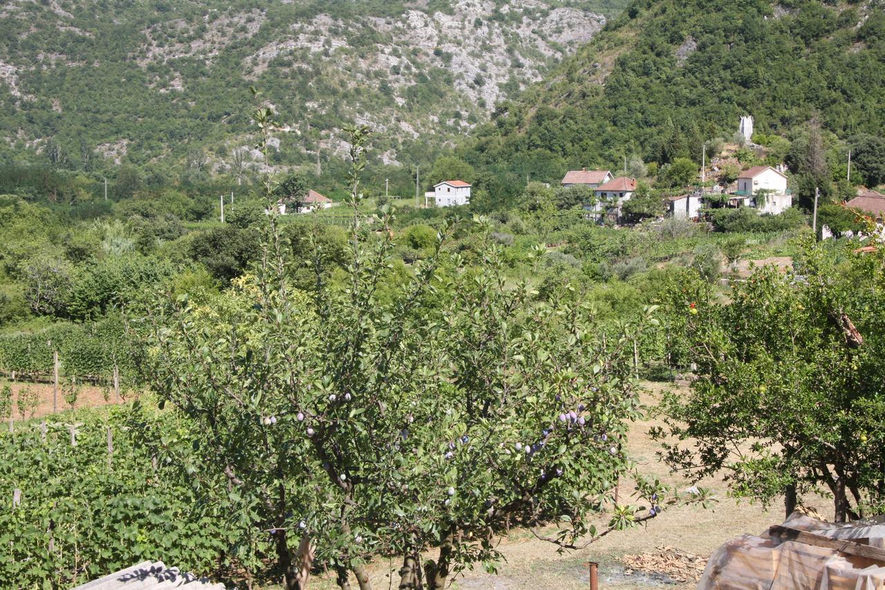 Vrzina Farm House Skadar Lake ヴィルパザル エクステリア 写真