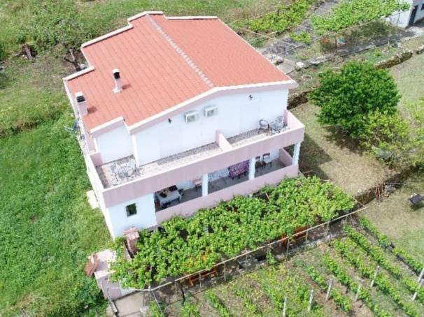 Vrzina Farm House Skadar Lake ヴィルパザル エクステリア 写真
