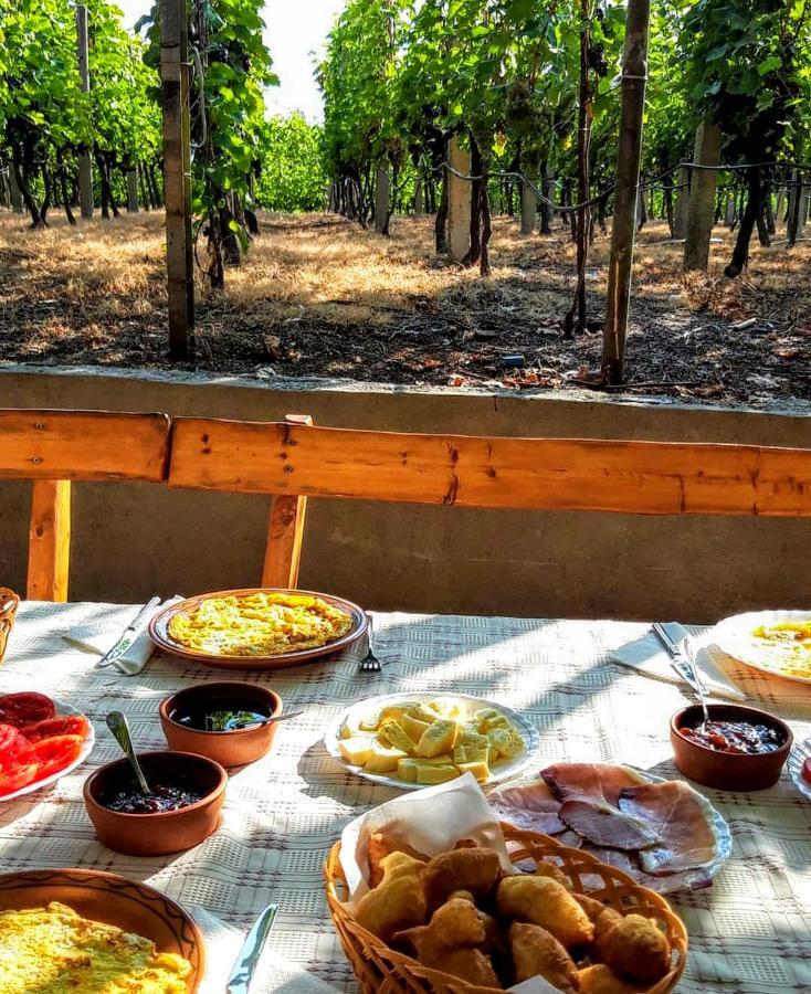 Vrzina Farm House Skadar Lake ヴィルパザル エクステリア 写真