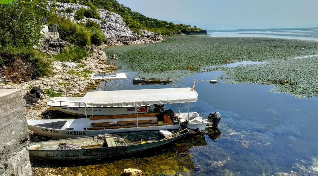 Vrzina Farm House Skadar Lake ヴィルパザル エクステリア 写真