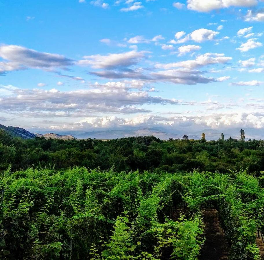 Vrzina Farm House Skadar Lake ヴィルパザル エクステリア 写真